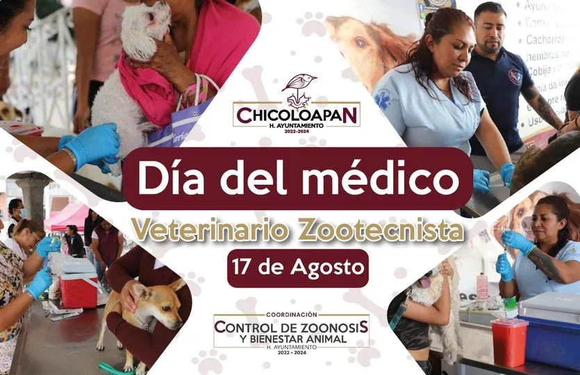 1692303668 El dia del medico veterinario se celebra para felicitar y jpg