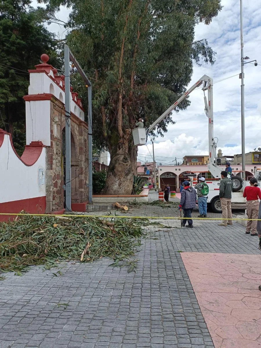 1692309890 728 Gracias a la direccion de servicios publicos por el trabajo