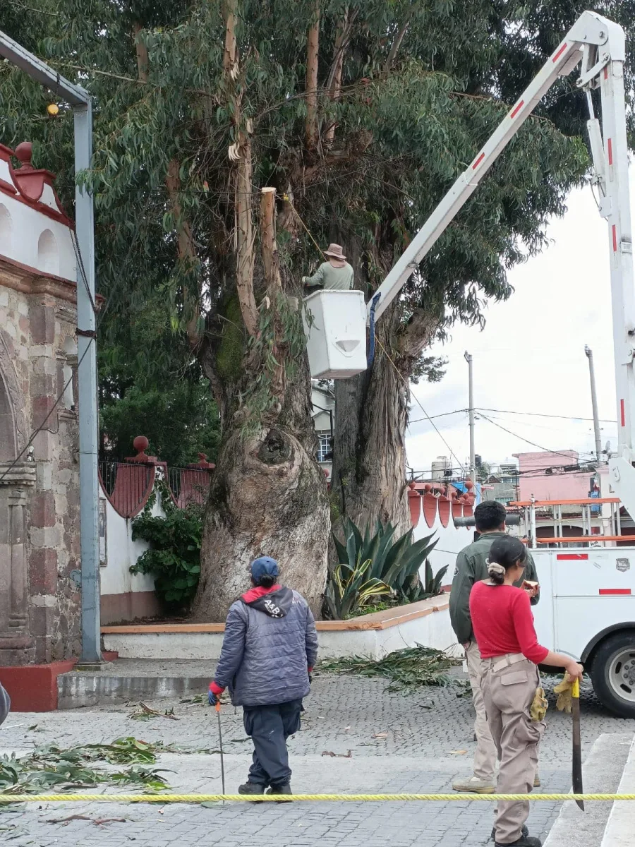 1692309899 598 Gracias a la direccion de servicios publicos por el trabajo