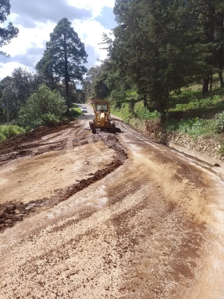 1692364800 571 Este Gobierno Municipal de Morelos dio mantenimiento y limpia por