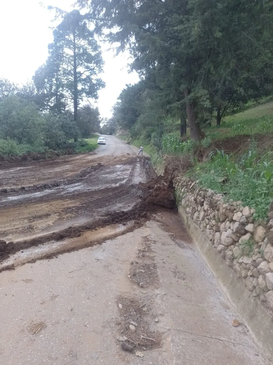 1692364805 576 Este Gobierno Municipal de Morelos dio mantenimiento y limpia por