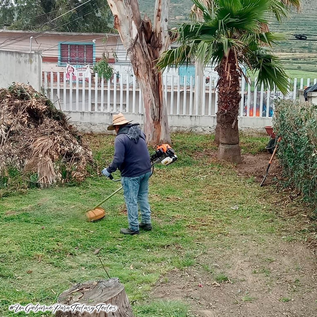 1692369184 68 La Coordinacion de Parques y Jardines del H Ayuntamiento de