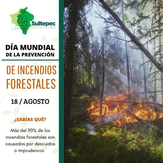 1692377028 Proteger nuestros bosques es un compromiso de todos En el jpg