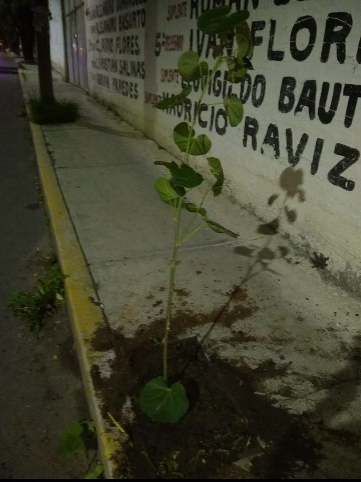 1692381106 698 El Ayuntamiento de Texcoco junto a vecinos de San Luis