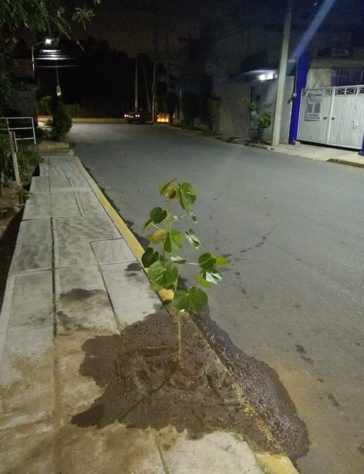 1692381110 547 El Ayuntamiento de Texcoco junto a vecinos de San Luis