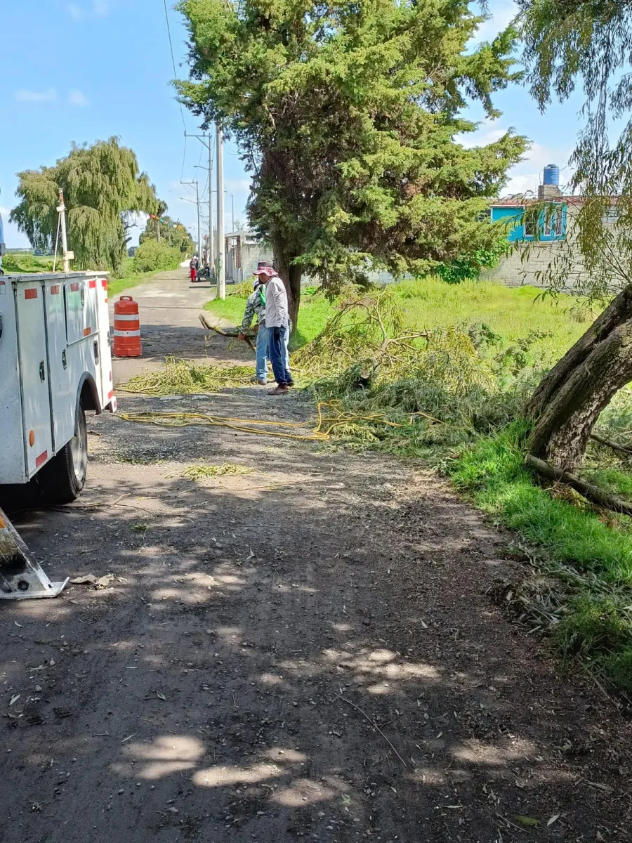 1692382106 410 A traves de la Direccion de Servicios Publicos Ecologia y