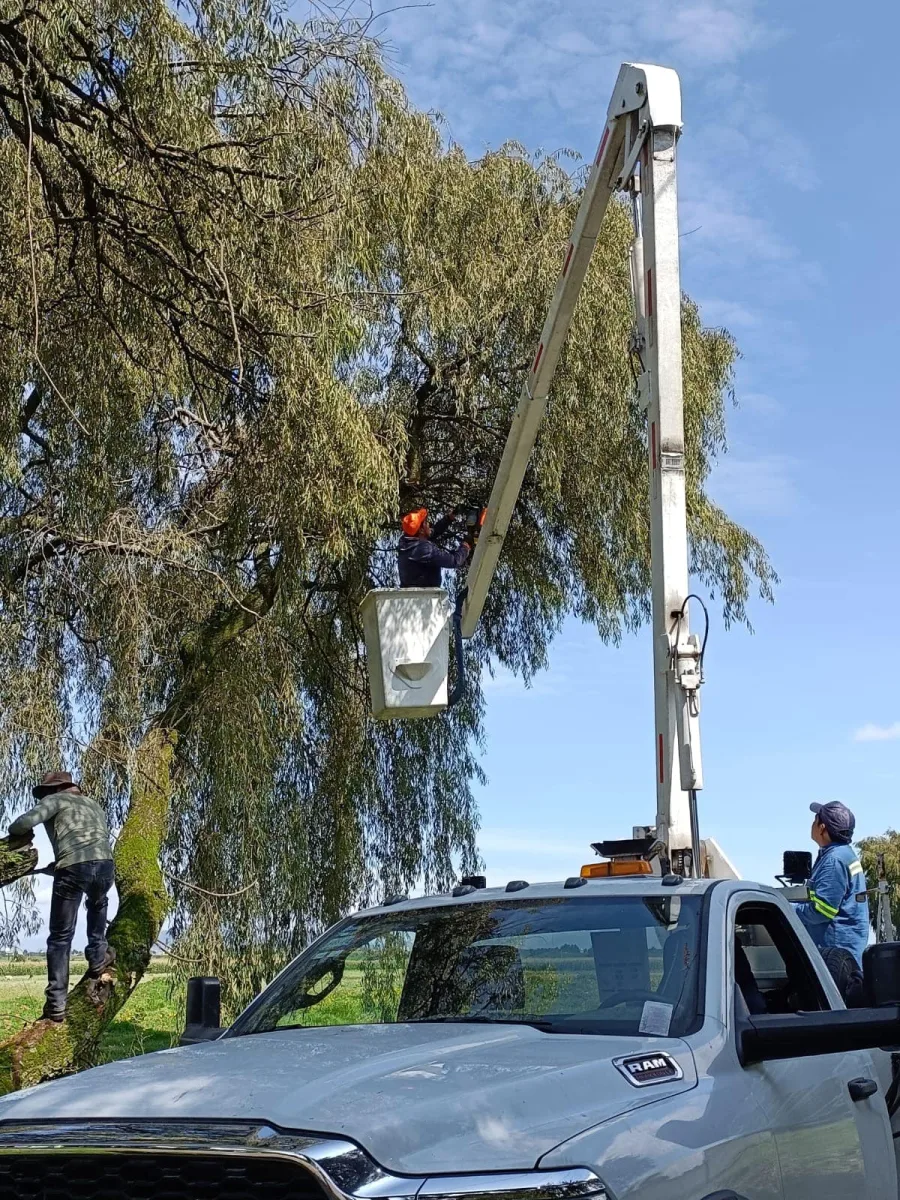 1692382110 830 A traves de la Direccion de Servicios Publicos Ecologia y