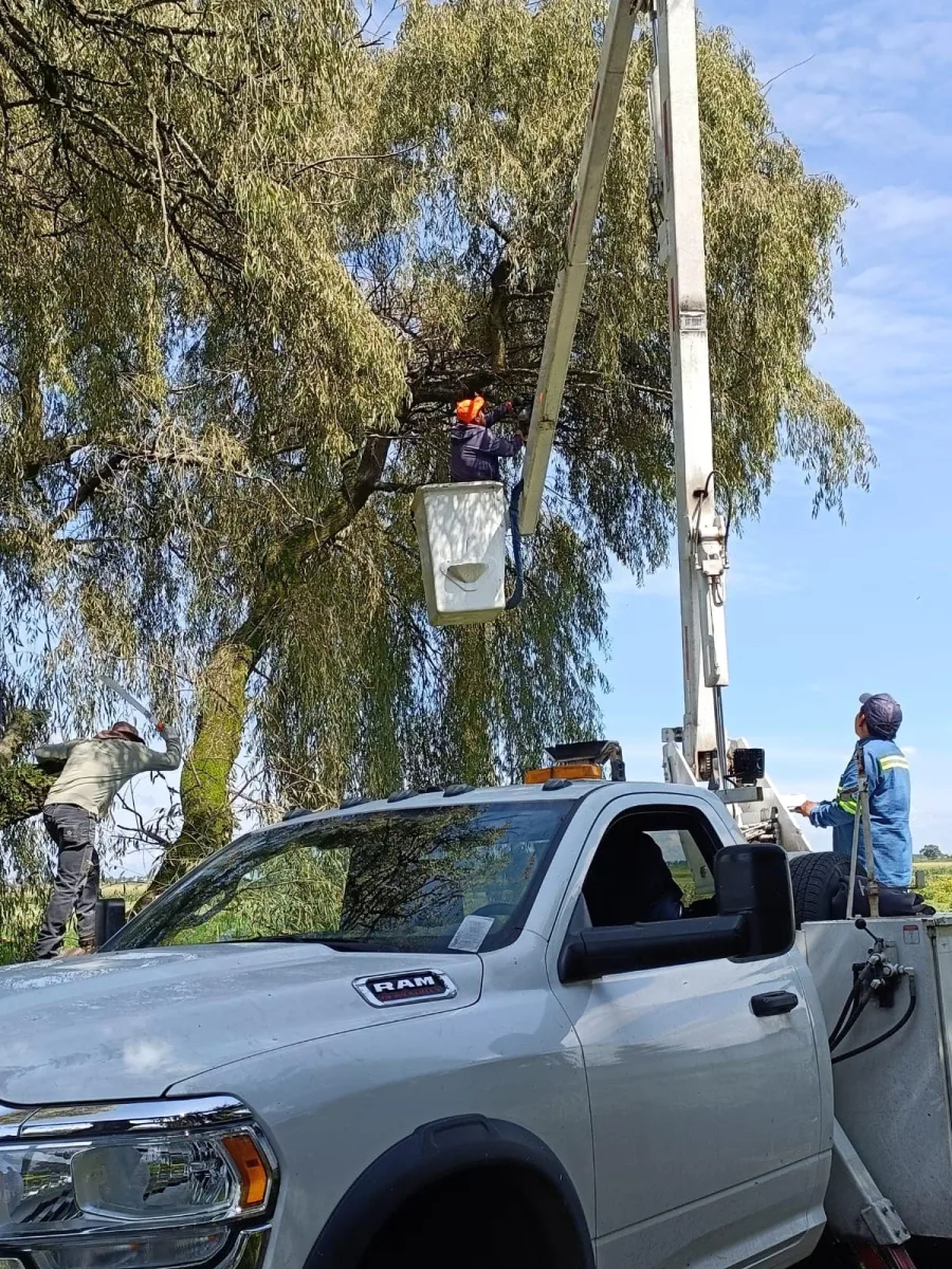 1692382114 55 A traves de la Direccion de Servicios Publicos Ecologia y