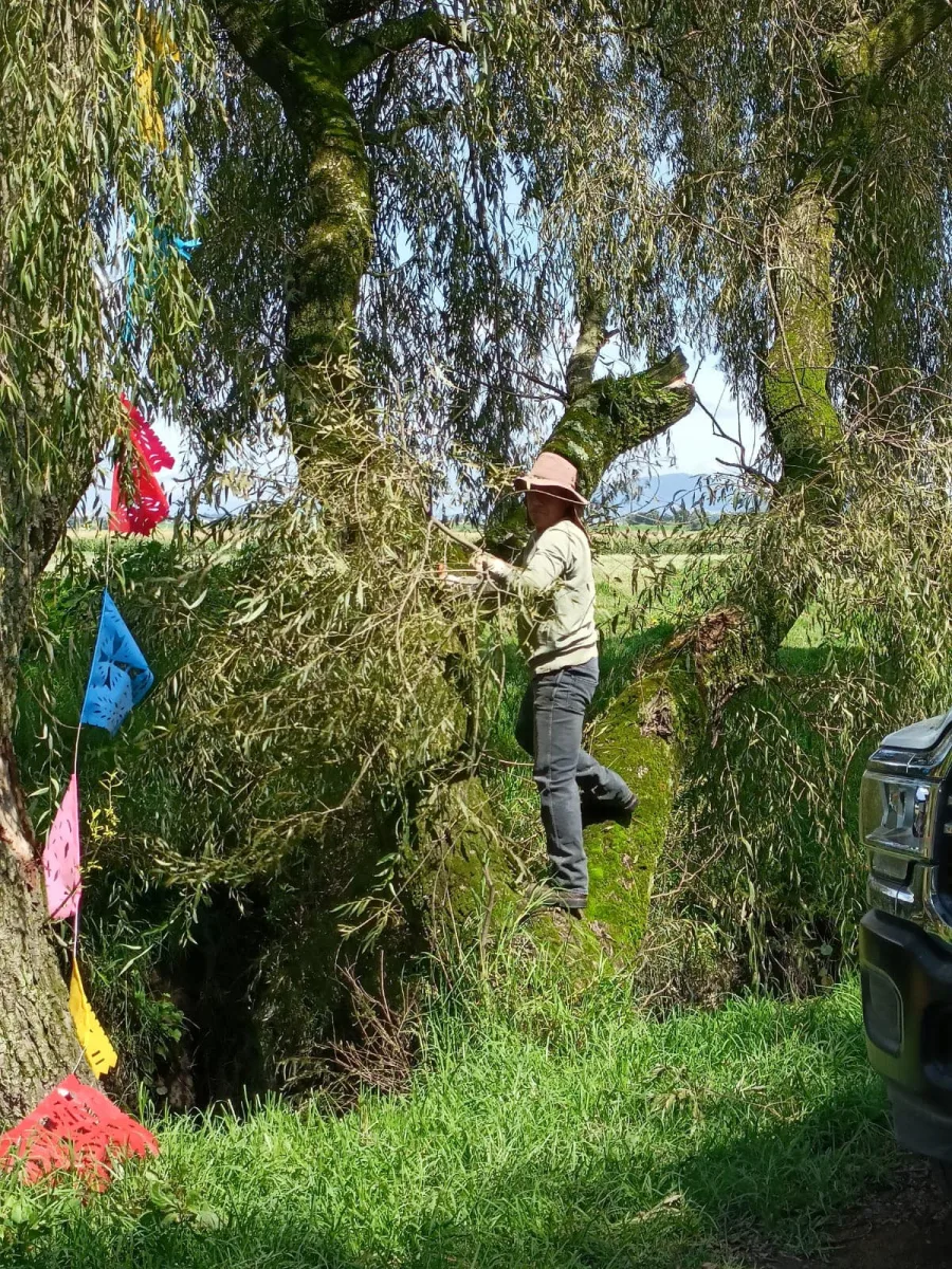 1692382119 546 A traves de la Direccion de Servicios Publicos Ecologia y