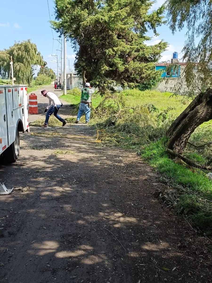 1692382139 A traves de la Direccion de Servicios Publicos Ecologia y