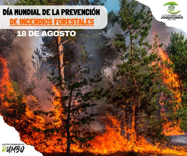 1692382407 18 de agosto DiaMundialDeLaPrevencionDeIncendiosForestales Ningun pais del m