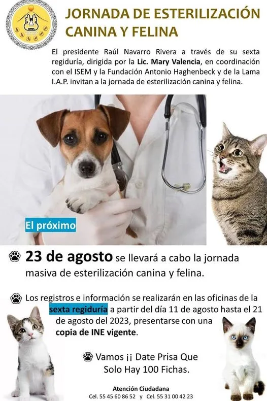 1692387600 SUMATE A LA JORNADA DE ESTERILIZACION CANINA Y FELINA jpg