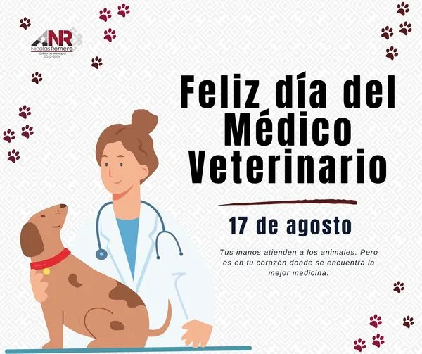 1692389263 En el Dia del Veterinario celebramos a aquellos heroes silenciosos jpg