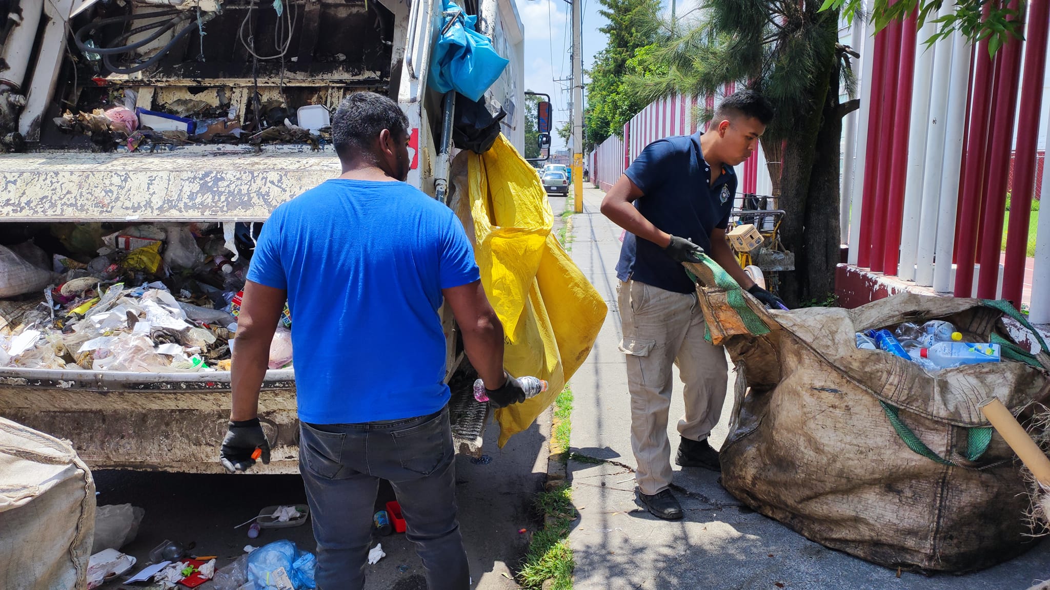 1692390371 640 Ayuntamiento impulsa programa a favor de la ecologia y medio