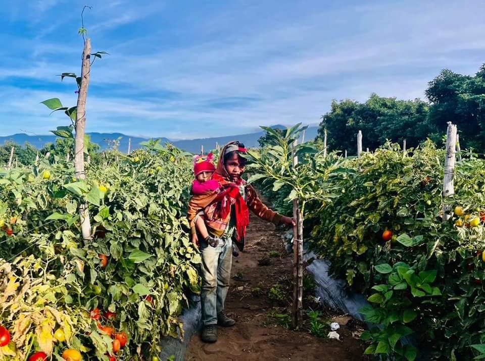 1692394845 259 COMIENZA LA 2da FASE DEL CONCURSO JUVENIL DE FOTOGRAFIA AMOR