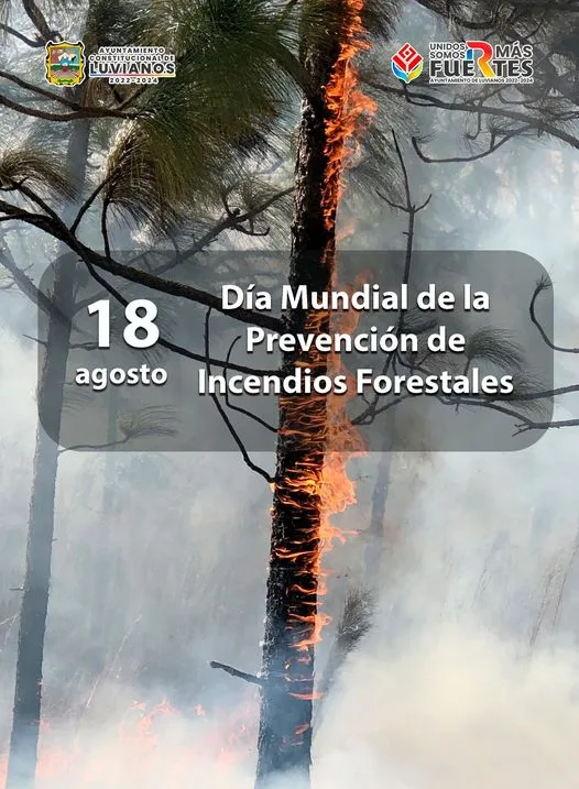 1692401304 Hoy es el Dia Mundial de la Prevencion de Incendios jpg