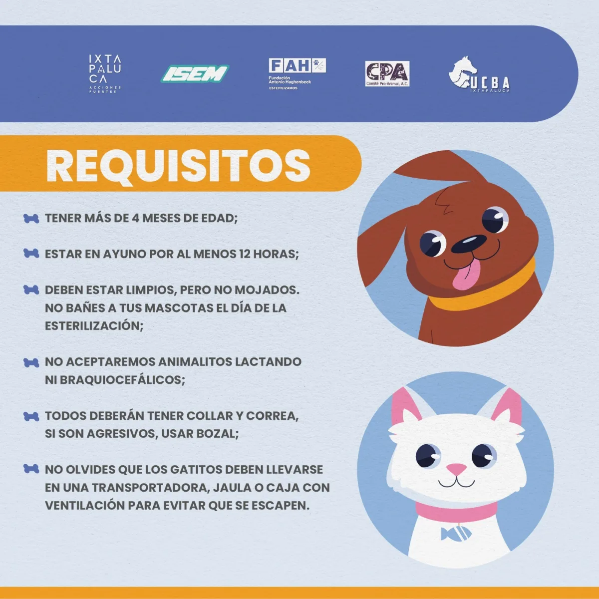 1692401670 432 ¡Ellos merecen una mejor vida Ayudanos a prevenir el abandono