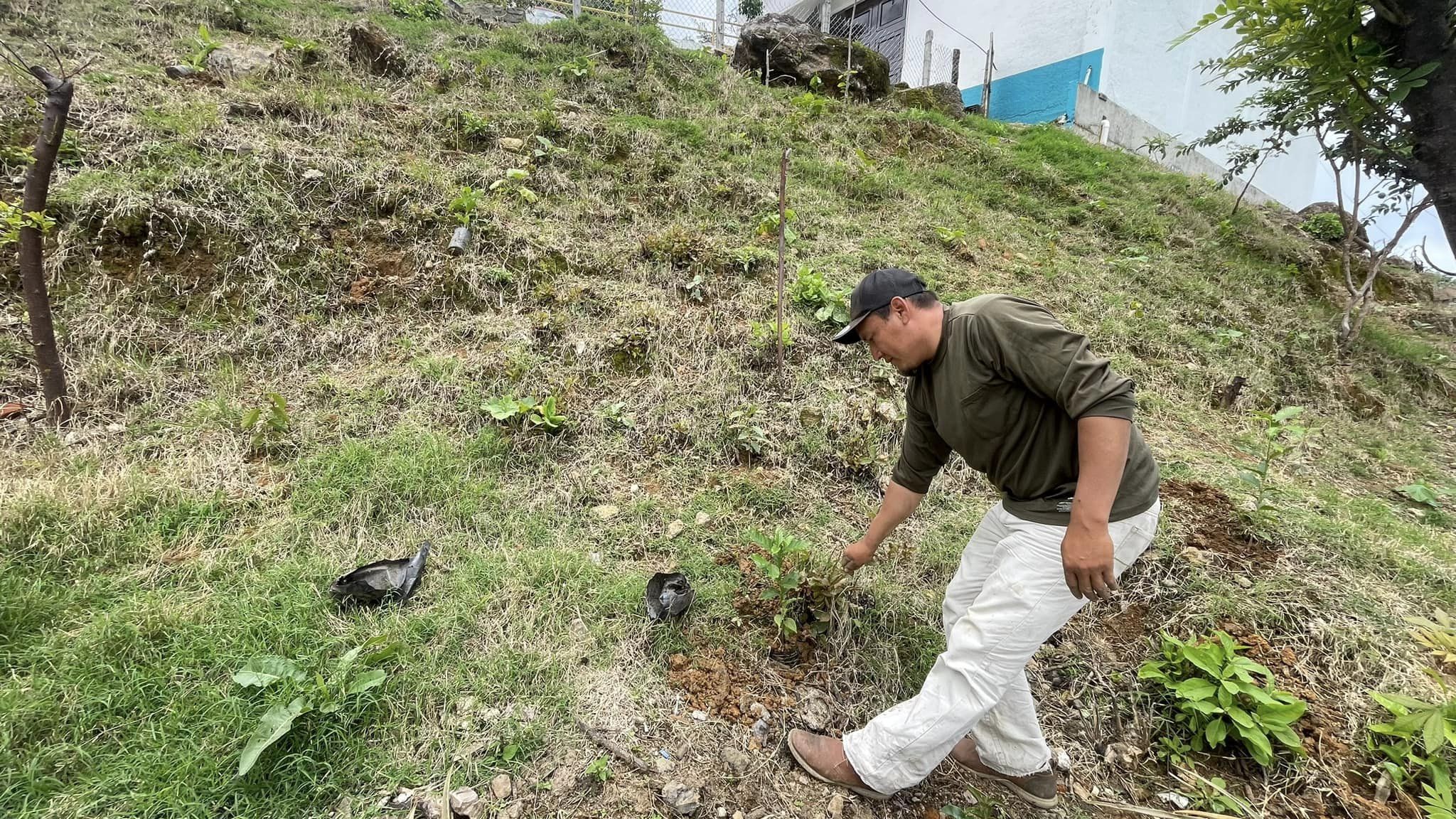 1692472252 271 Mantenimiento a areas verdes del Sistema Municipal DIF de Tlatlaya