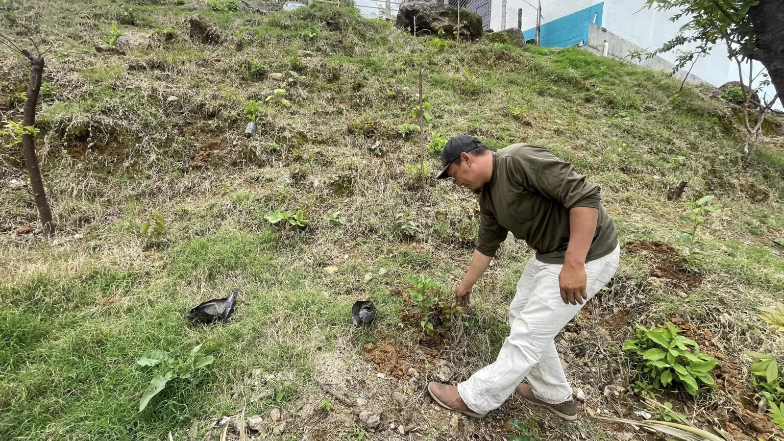 1692472291 Mantenimiento a areas verdes del Sistema Municipal DIF de Tlatlaya scaled