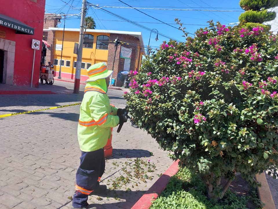 1692547778 968 Las labores no paran para el personal de la Direccion