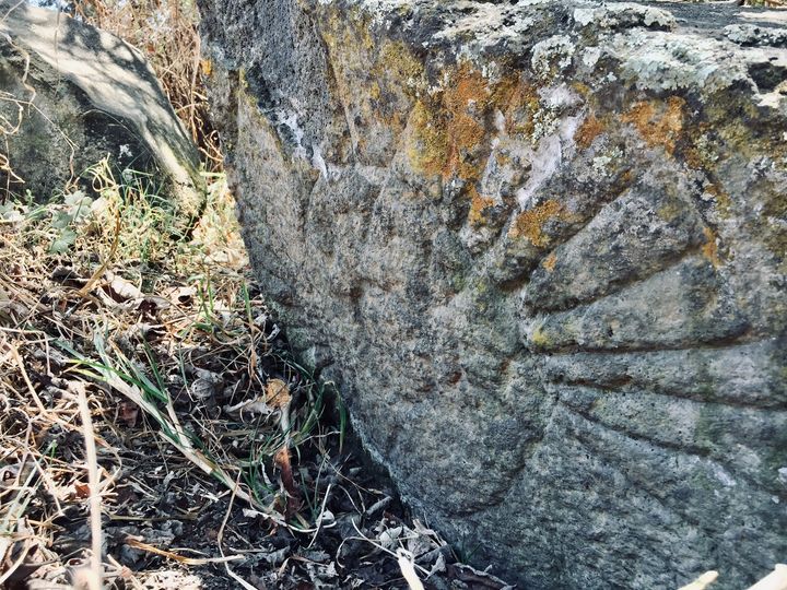 1692641990 Vestigio arqueologico en el bosque del Sacamol en San Juan