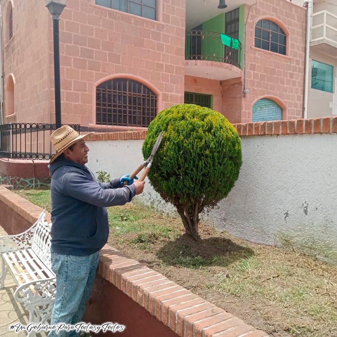 1692644316 729 La Coordinacion de Parques y Jardines del H Ayuntamiento de