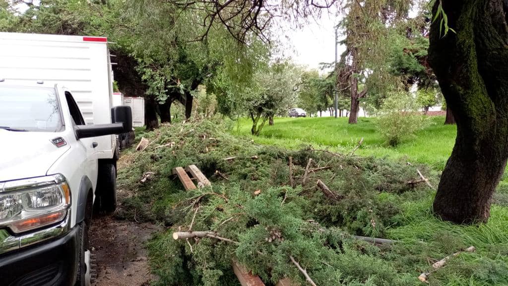 1692650025 383 Gran parte del dia la Direccion de Metepec Servicios Publicos