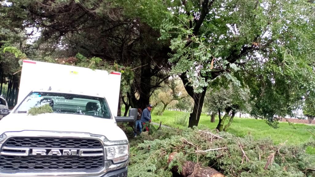 1692650030 817 Gran parte del dia la Direccion de Metepec Servicios Publicos