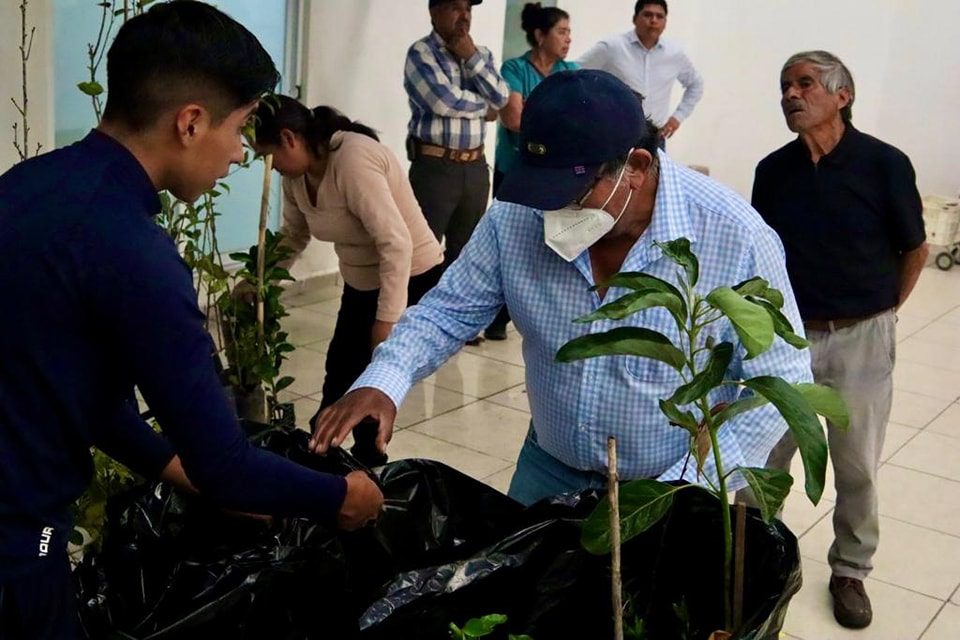 1692651910 978 JUNTOS POR LA REFORESTACION DE NUESTRO PUEBLO