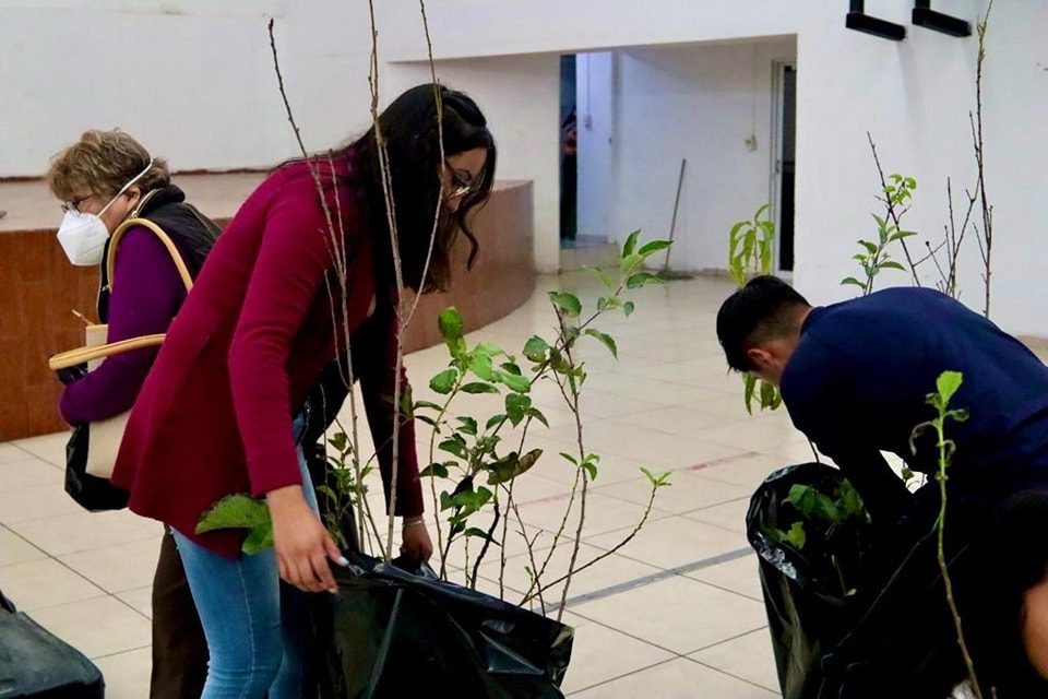 1692651915 708 JUNTOS POR LA REFORESTACION DE NUESTRO PUEBLO