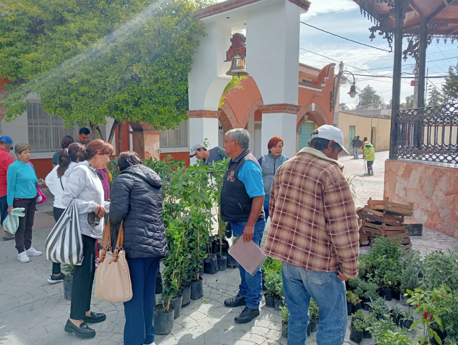 1692713874 132 Finalizamos la entrega de arboles frutales a bajo costo en