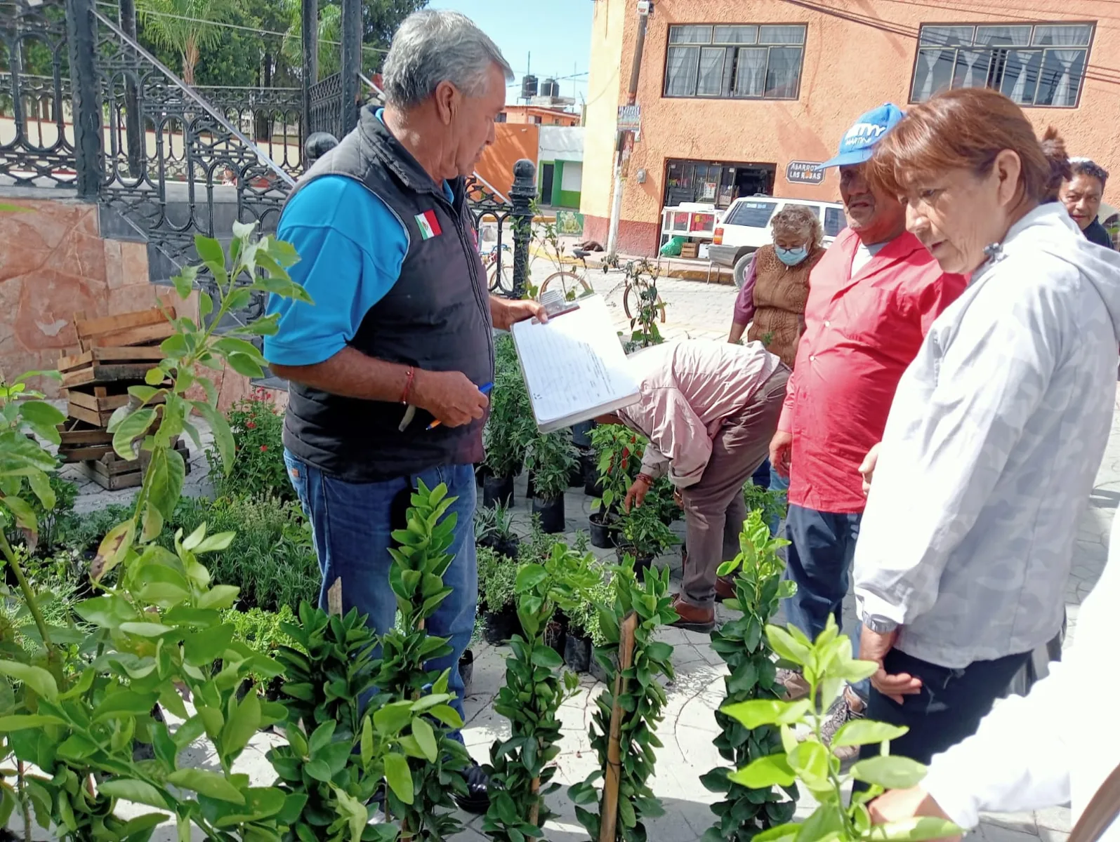 1692713882 122 Finalizamos la entrega de arboles frutales a bajo costo en