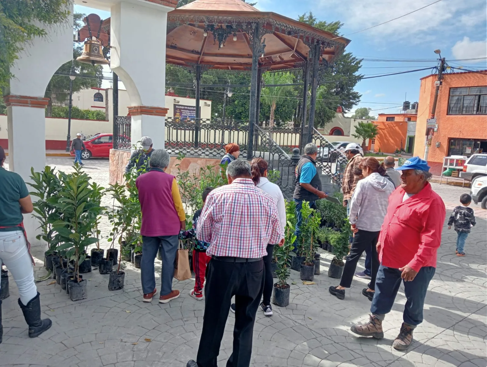 1692713902 Finalizamos la entrega de arboles frutales a bajo costo en