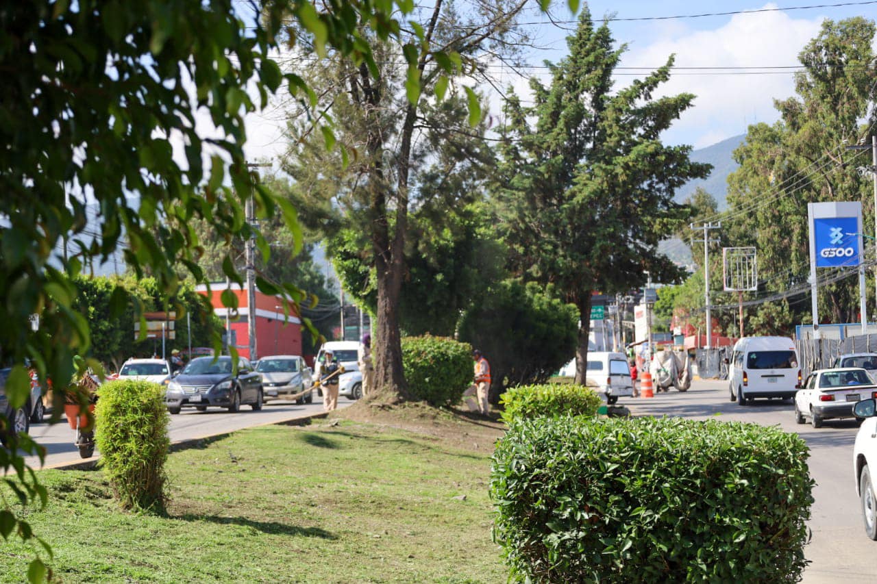 1692737978 939 A fin de garantizar espacios en buen estado para las