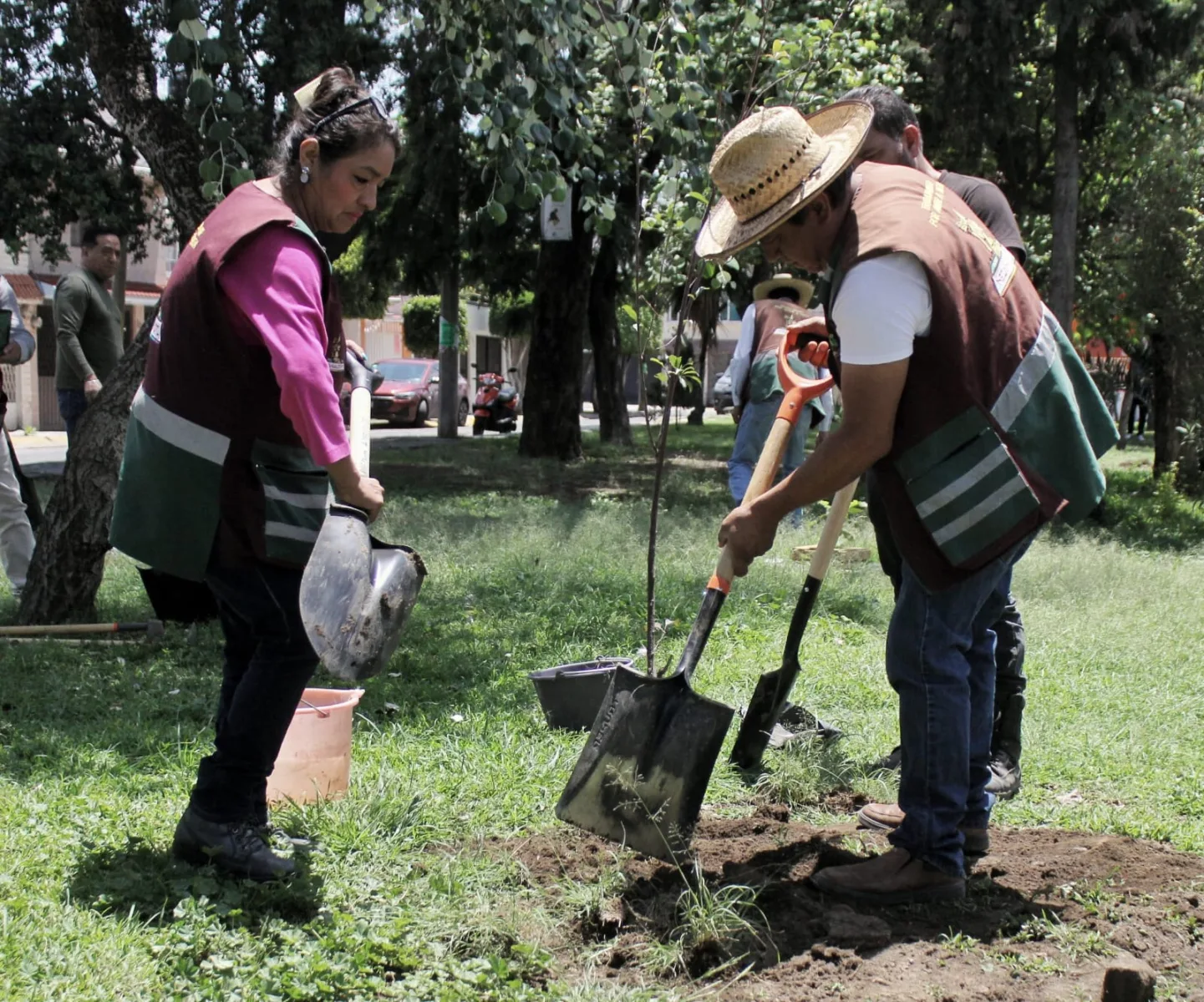 1692743784 980 MedioAmbiente El dia de hoy personal de la Direccion