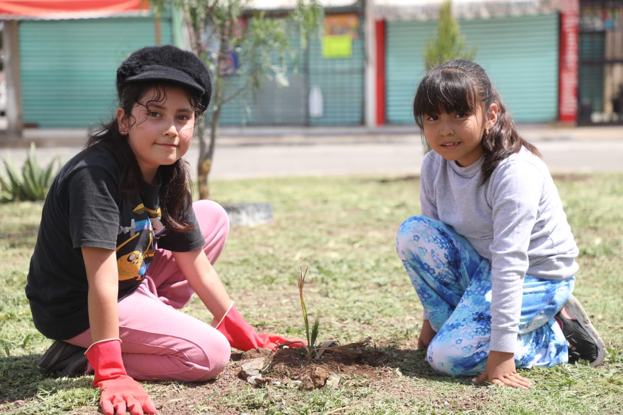 1692746083 314 La Campana de Reforestacion en Zumpango sigue adelante En esta