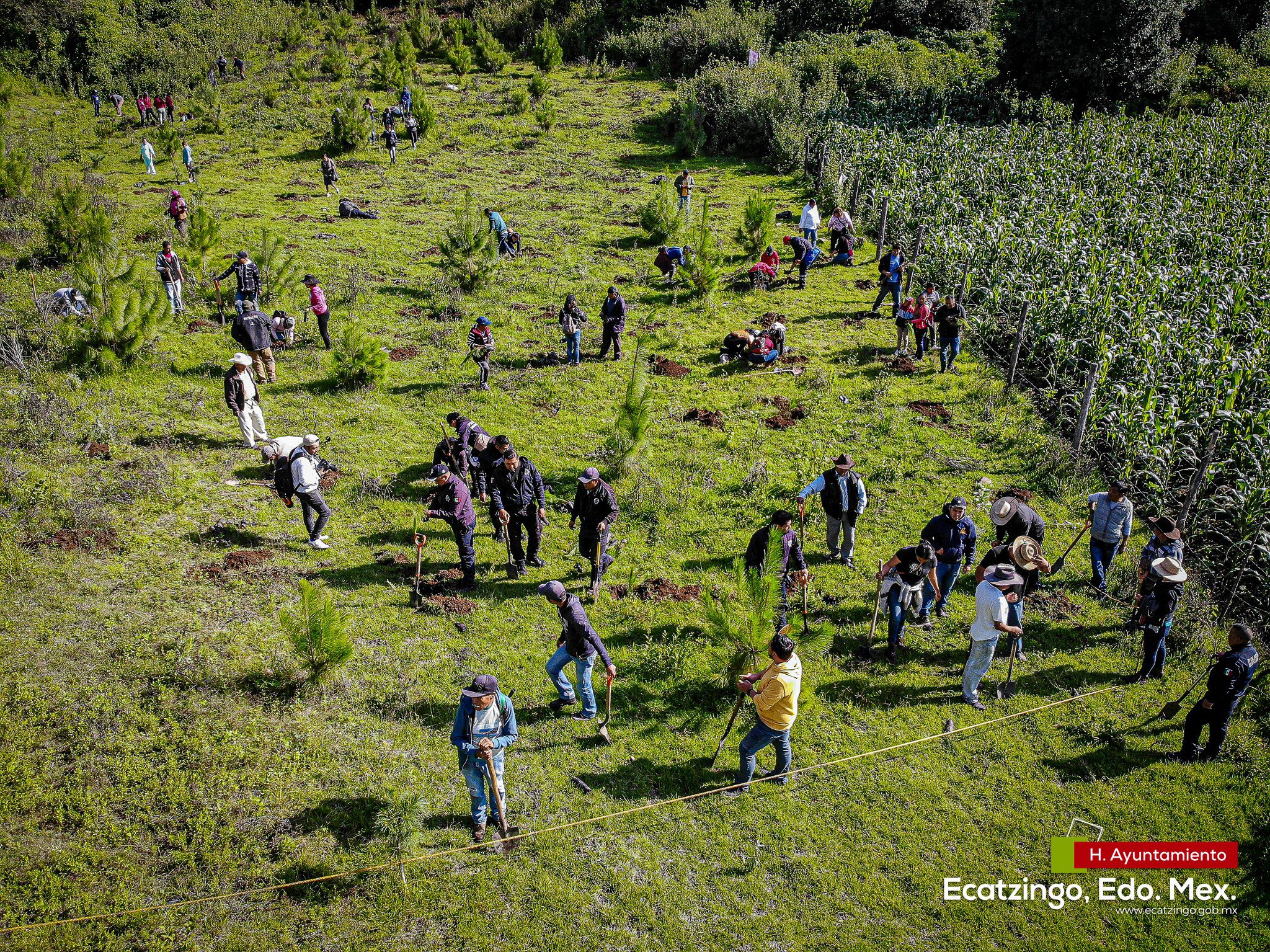 1692792083 218 El dia de hoy se llevo la Jornada de Reforestacion