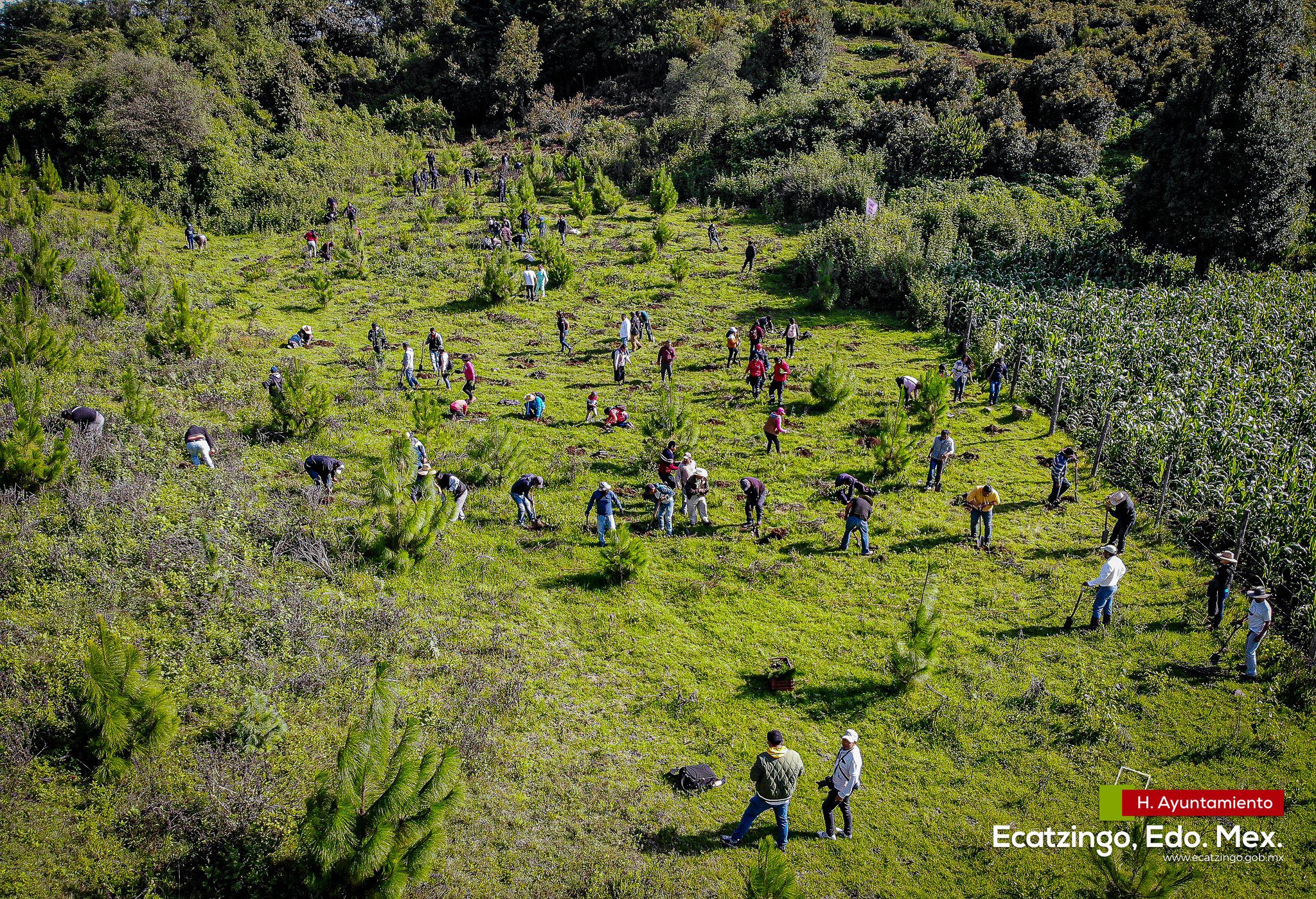 1692813861 809 El dia de hoy se llevo la Jornada de Reforestacion