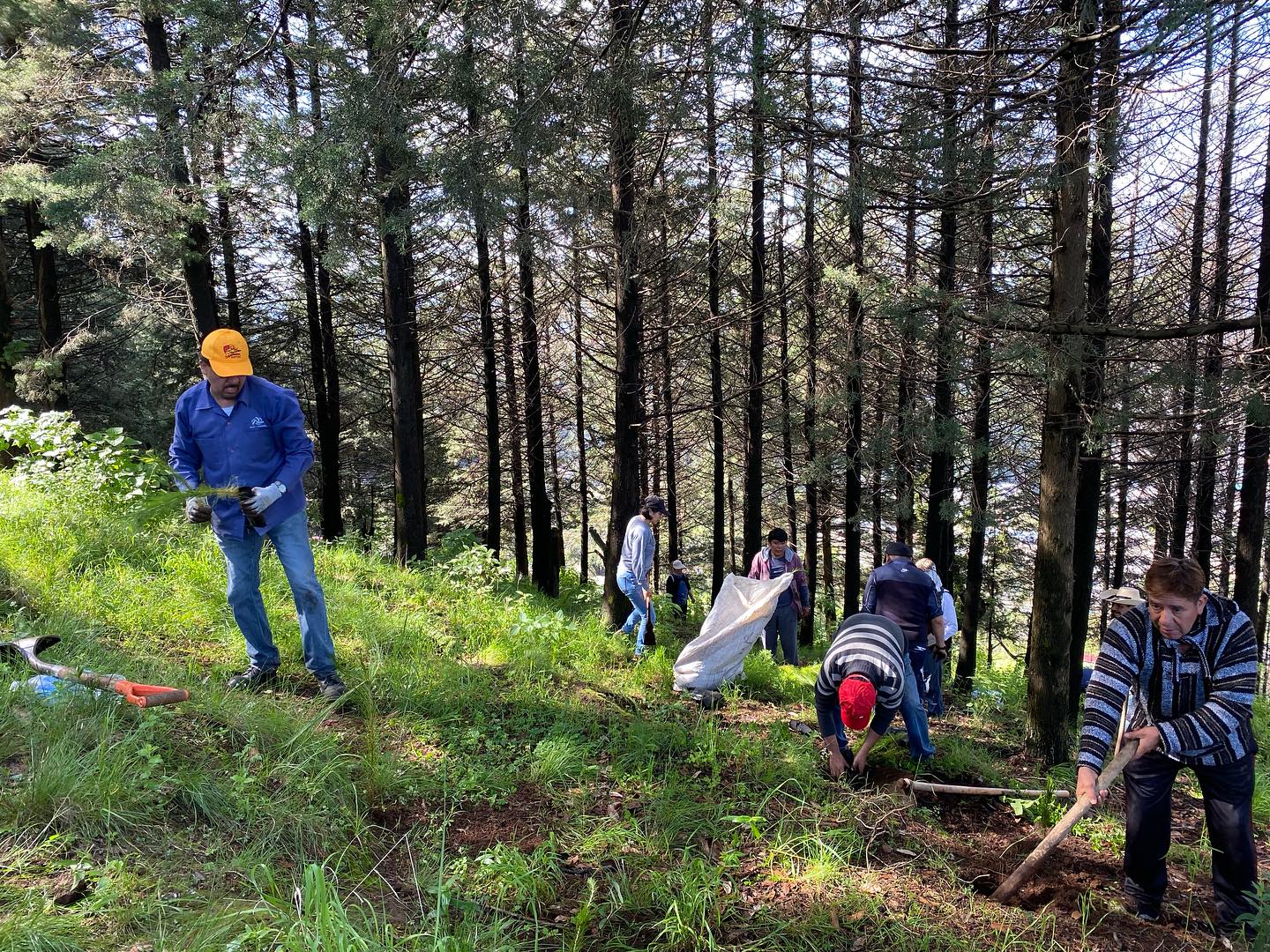 1692813988 677 Continuamos ReforestandoCapulhuac Iniciamos desde muy temprano las actividades