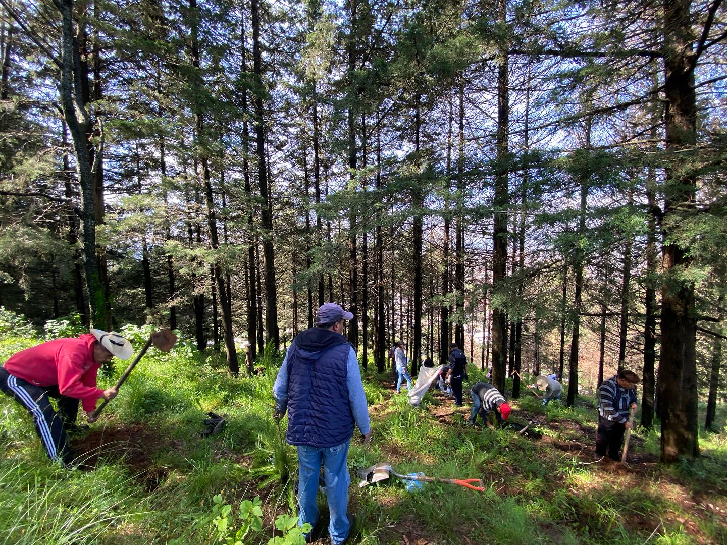 1692813999 906 Continuamos ReforestandoCapulhuac Iniciamos desde muy temprano las actividades