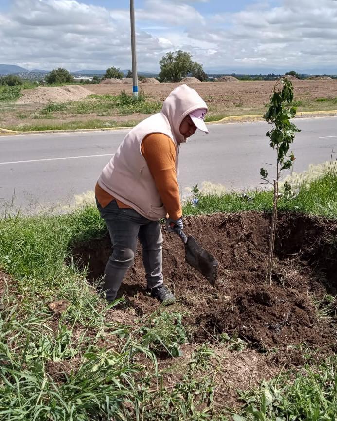 1692826587 491 por el crecimiento urbano ¡Unete a esta iniciativa y ayudemos