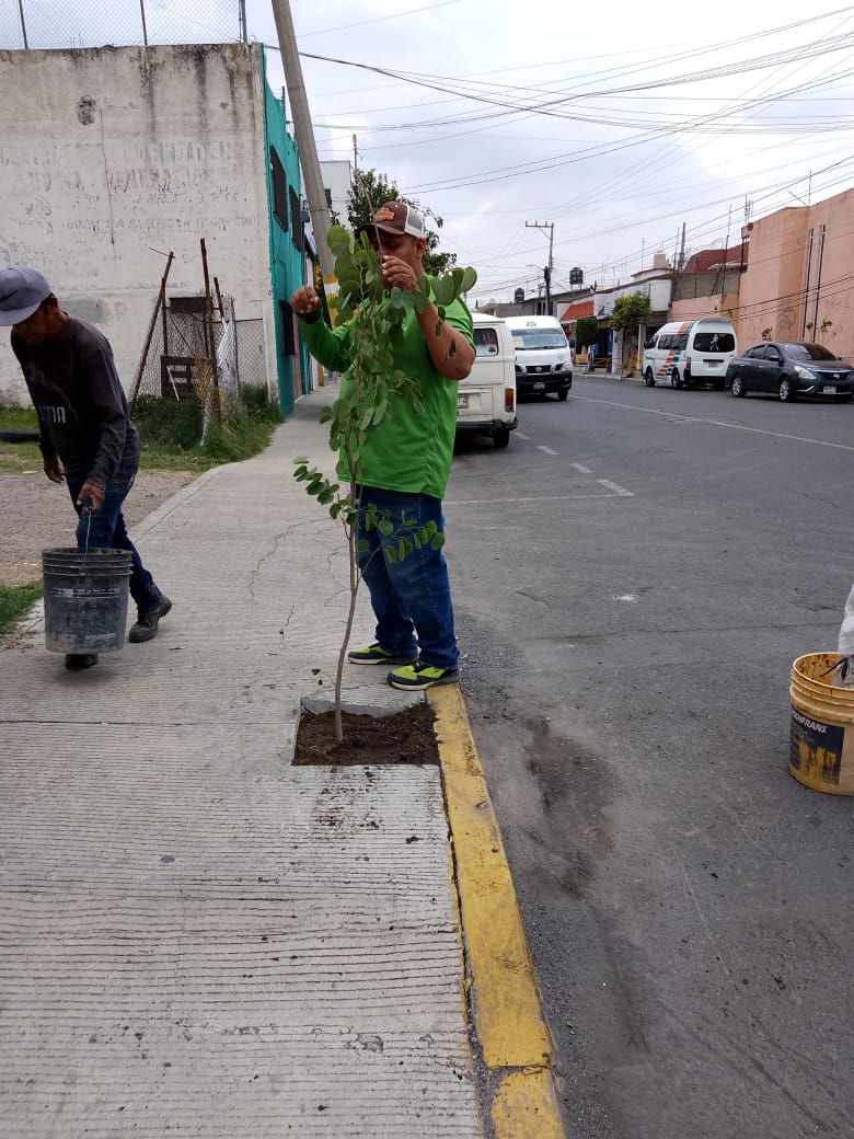 1692894018 256 Como parte de sus actividades el Ayuntamiento de Texcoco realiza