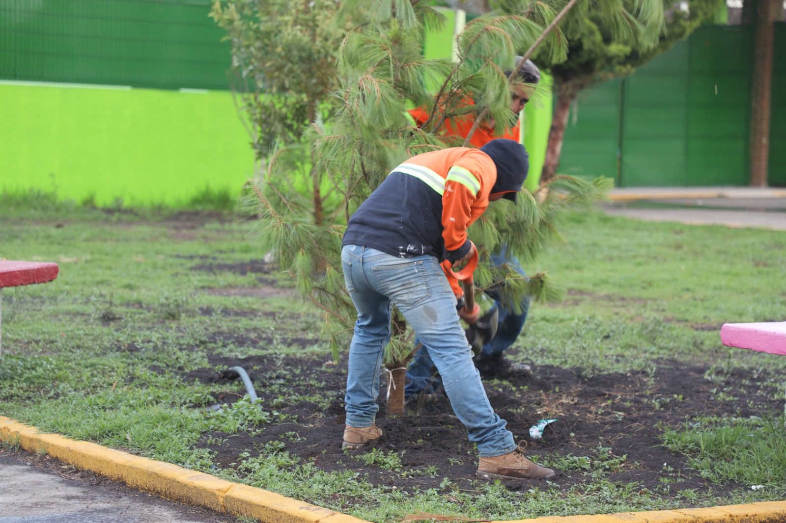 1692919233 119 Un ARBOL es un ser que vive para darnos vida