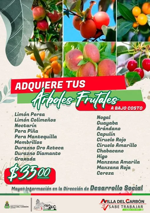 1692966047 Visita la Direccion de Desarrollo Social y adquiere tus arboles jpg