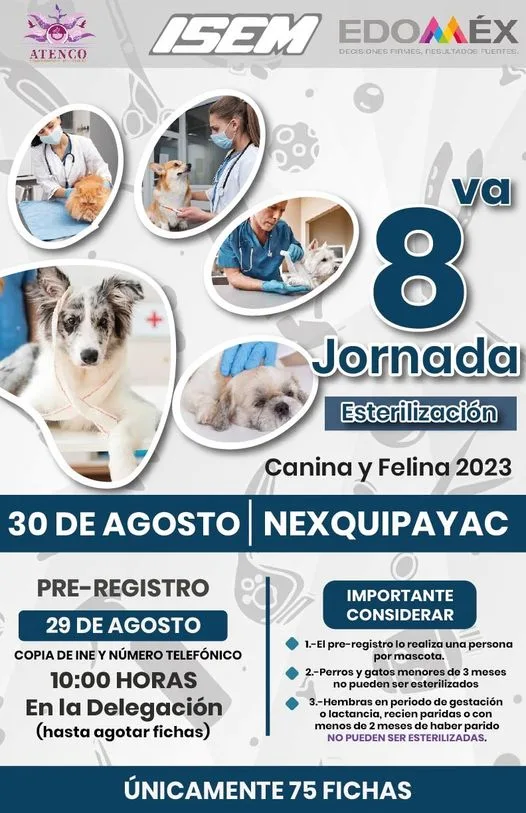 1692969045 Participa en la Octava Jornada de Esterilizacion Canina y Felina jpg