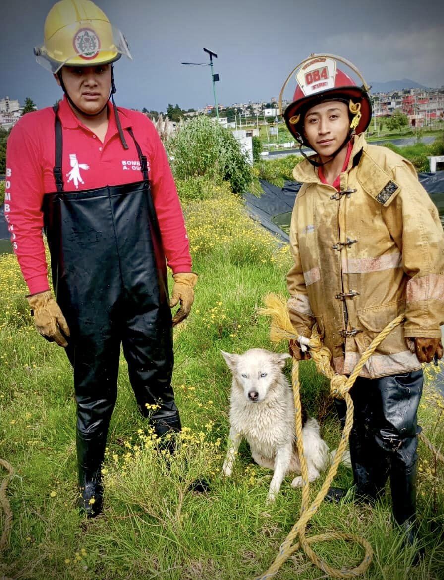 1692969239 637 Estimados miembros del equipo de Proteccion Civil