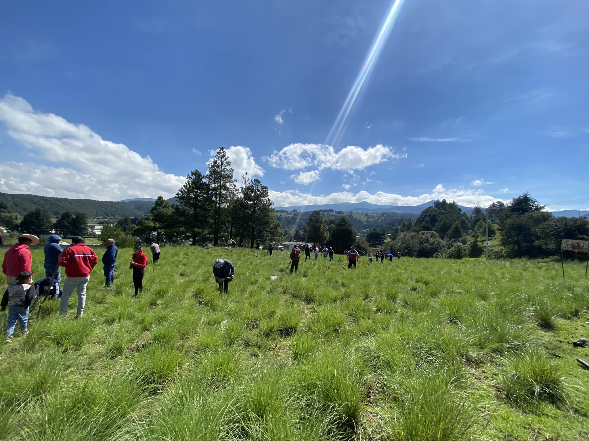 1692972592 917 Continuamos ReforestandoCapulhuac Iniciamos desde muy temprano las actividades