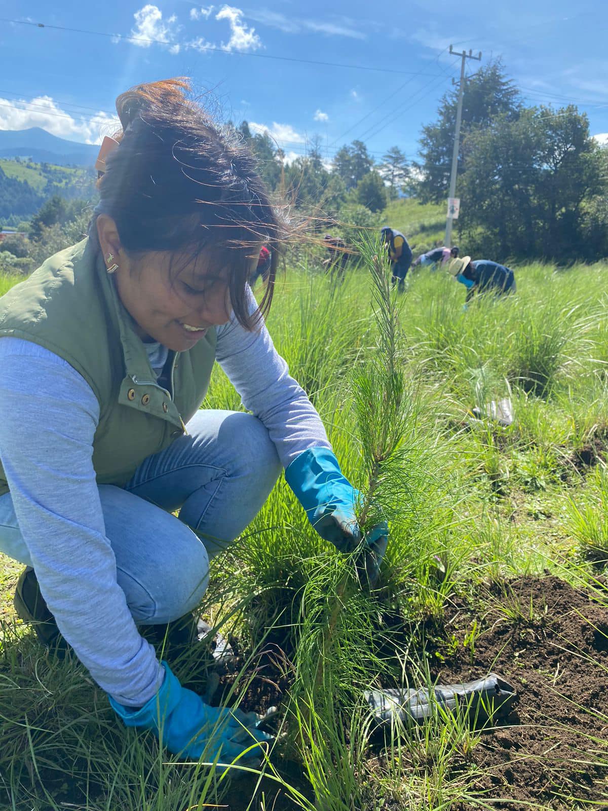 1692972597 990 Continuamos ReforestandoCapulhuac Iniciamos desde muy temprano las actividades