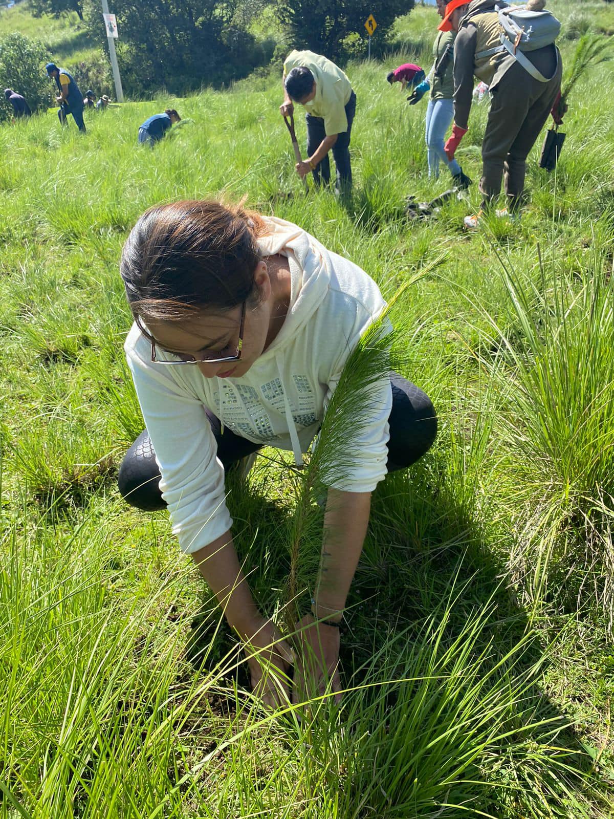 1692972601 617 Continuamos ReforestandoCapulhuac Iniciamos desde muy temprano las actividades