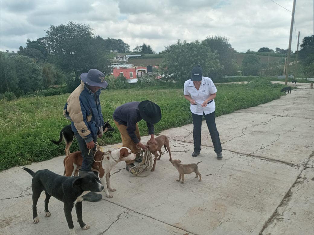 1692975160 797 La Coordinacion de Salud en conjunto con ISEM realizo la